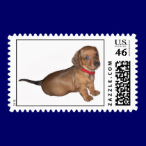 Dachshund Attittude stamps