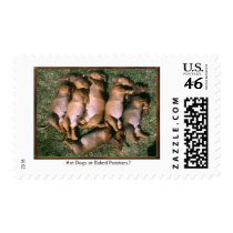 Dachshund attitudes postage