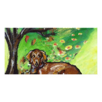 Dachshund Autumn leaves photo cards by zadajeanne Dachshund Autumn leaves photo cards