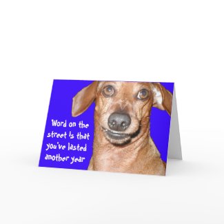 Dachshund Birthday Card card