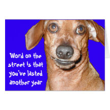 Dachshund Birthday Card