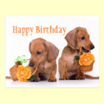 Dachshund Birthday postcards