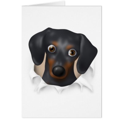 Dachshund (Black and Tan) Busting Out Card by cartoondogs