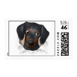 Dachshund (Black and Tan) Busting Out - Customized postage