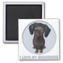 Dachshund (Black and Tan) Granddog magnet