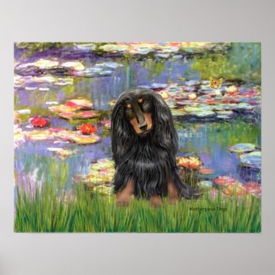 long haired dachshund black and tan. Water Lilies by Impressionist Claude Monet (1914), adapted to include a lack and tan long haired Dachshund. One of many water lily paintings,
