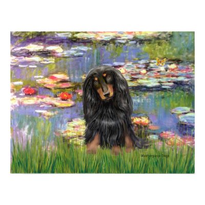 long haired dachshund black and tan. Water Lilies by Impressionist Claude Monet (1914), adapted to include a lack and tan long haired Dachshund. One of many water lily paintings,