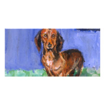 Dachshund blue room portrait photo cards by zadajeanne Dachshund blue room portrait photo cards