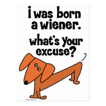 Dachshund Born Wiener Postcard