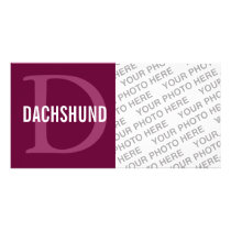 Dachshund Breed Monogram Design Photo Card