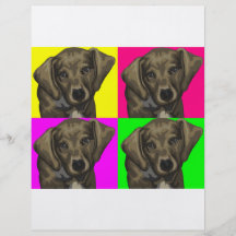 Dachshund Bright Dog Collage Flyer