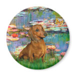 Dachshund (brown1) - Lilies 2 Magnet