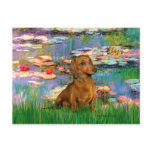 Dachshund (brown1) - Lilies 2 Post Cards