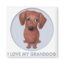 Dachshund (Brown) Granddog magnets
