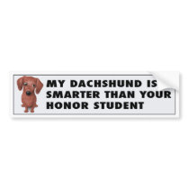 Dachshund (Brown) Honor Student bumper stickers by cartoondogs Dachshund (Brown) Honor Student bumper stickers