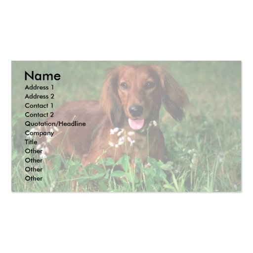 Dachshund Business Card Templates (front side)