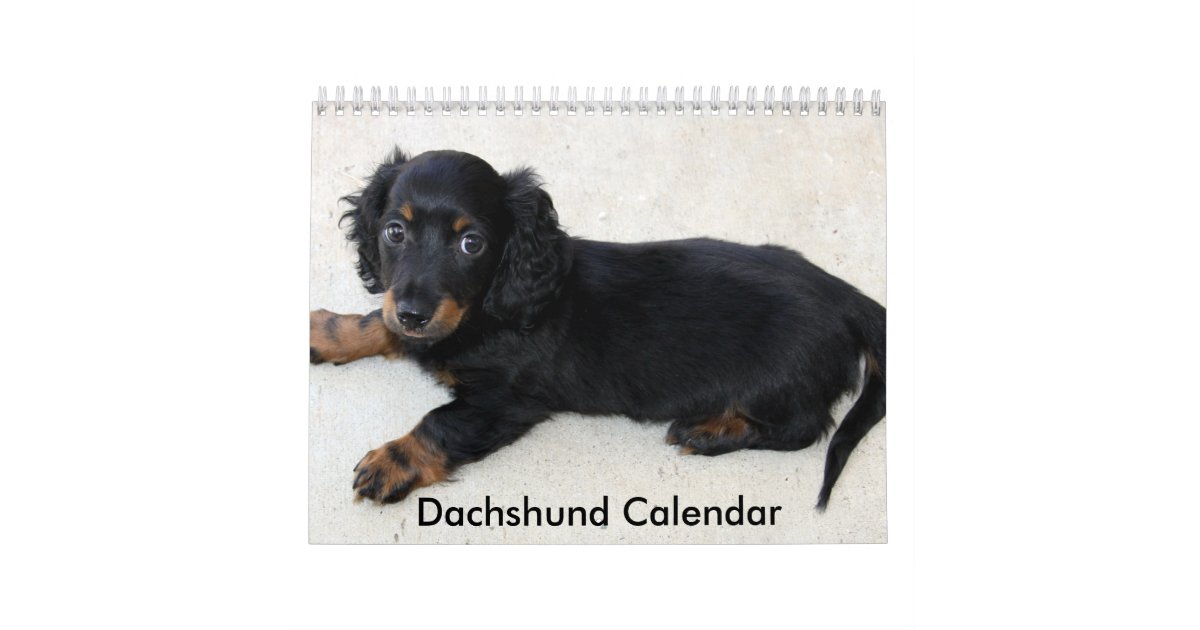 Dachshund Calendar 2016 Personalized Photos | Zazzle
