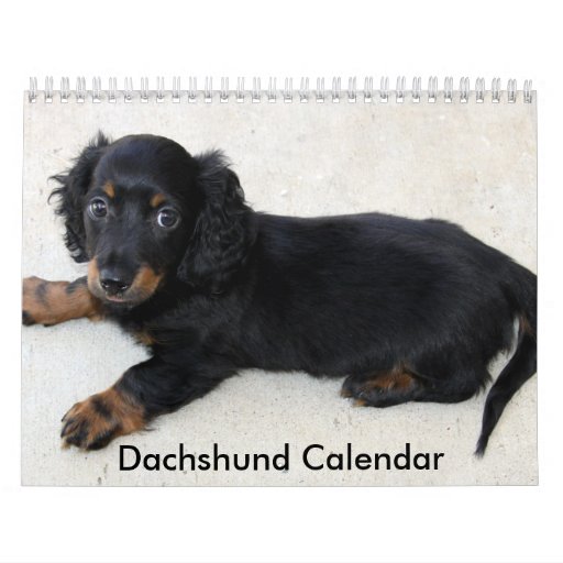 Dachshund Calendar 2016 Personalized Photos | Zazzle