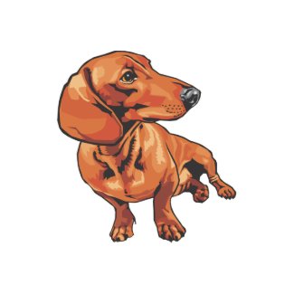 Dachshund card