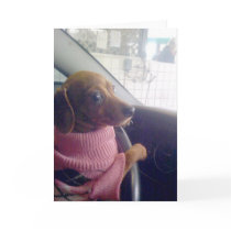 Dachshund  Card