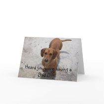 Dachshund Greeting Card