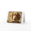 Dachshund cards