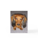 Dachshund cards