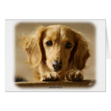 Dachshund Card