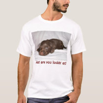 Dachshund Chocolate Longcoat Pup t-shirts