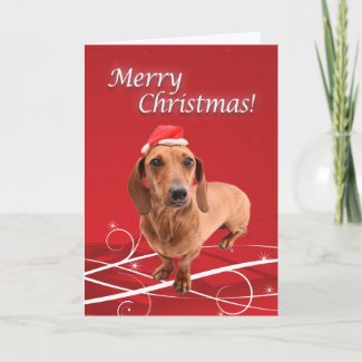 Dachshund Christmas Card card