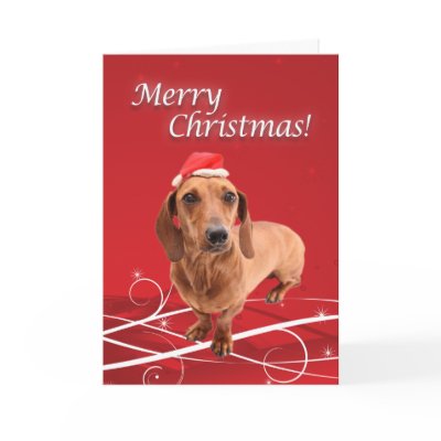 Dachshund Christmas Card