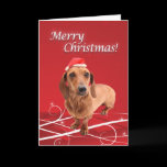 Dachshund Christmas Card