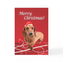 Dachshund Christmas Card by glenndesigns Dachshund Christmas Card