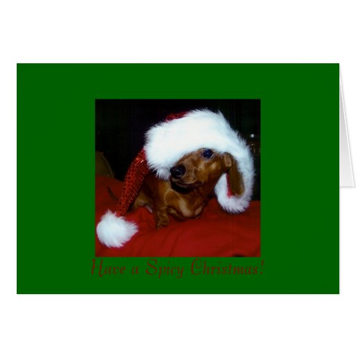 dachshund christmas card
