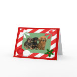 Dachshund Christmas Card Frame
