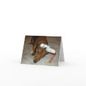 Dachshund Christmas Card - Reluctant Reindeer by shortydachshund Dachshund Christmas Card - Reluctant Reindeer