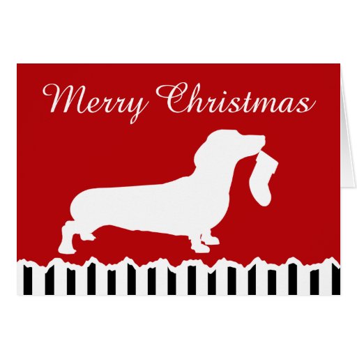 dachshund christmas cards