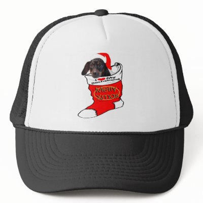 Dachshund Christmas hats