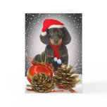 Dachshund Christmas Hound Cards