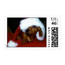 Dachshund Christmas stamp by cheevers313 Dachshund Christmas stamp