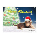 Dachshund Christmas Tree Postcard