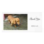 Dachshund Customized Photo Card