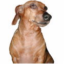 Dachshund - Customized photo sculptures