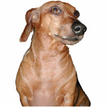 Dachshund - Customized photo sculptures by mikek92349 Dachshund - Customized photo sculptures