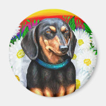 Dachshund Daisy Patch B&T magnets