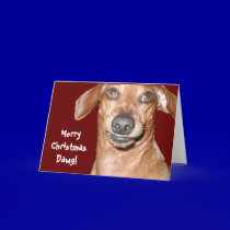 Dachshund Dawg Christmas Card