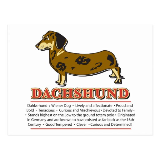 Weiner Dog Cards, Weiner Dog Card Templates, Postage, Invitations ...