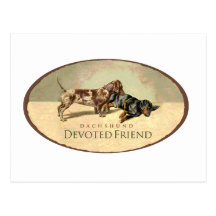 Dachshund..Devoted Friend Postcards