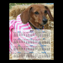 Dachshund dog 2012 Calendar Poster posters