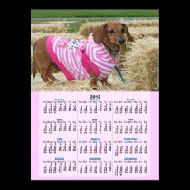 Dachshund dog 2012 Calendar Poster posters